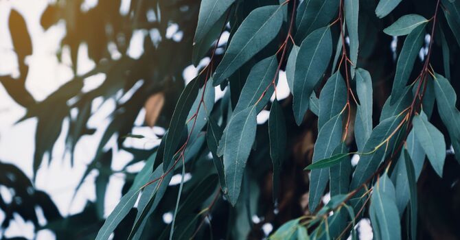 I'm sad all the guests and the food and the laughter are gone!