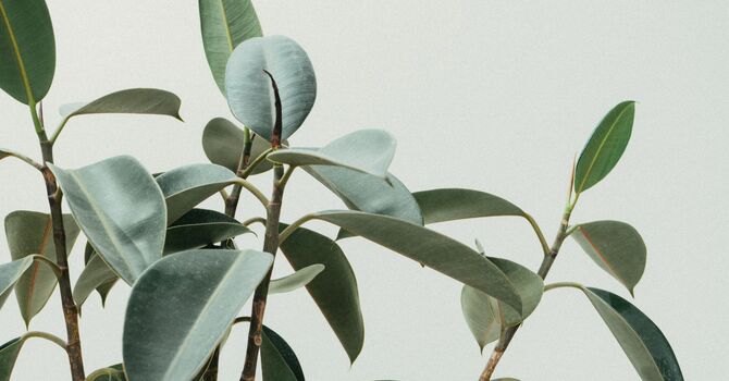 Free Resources in Ontario for Individuals & Families image