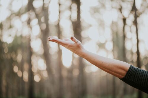 Psychotherapy Growth