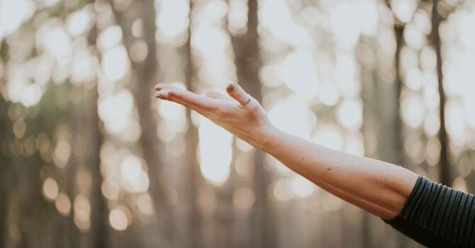 Creating Space for the Self: Why It Matters and How to Begin image