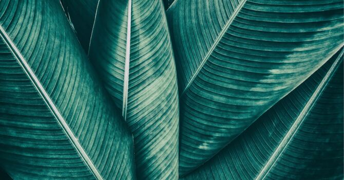 What to Expect in a 15-Minute Initial Consultation — A Simple, Supportive First Step image