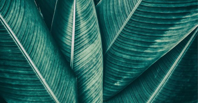 What to Expect in a 15-Minute Initial Consultation — A Simple, Supportive First Step image